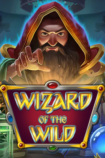 Wizard of the Wild в демо-режиме играть бесплатно | Азино888